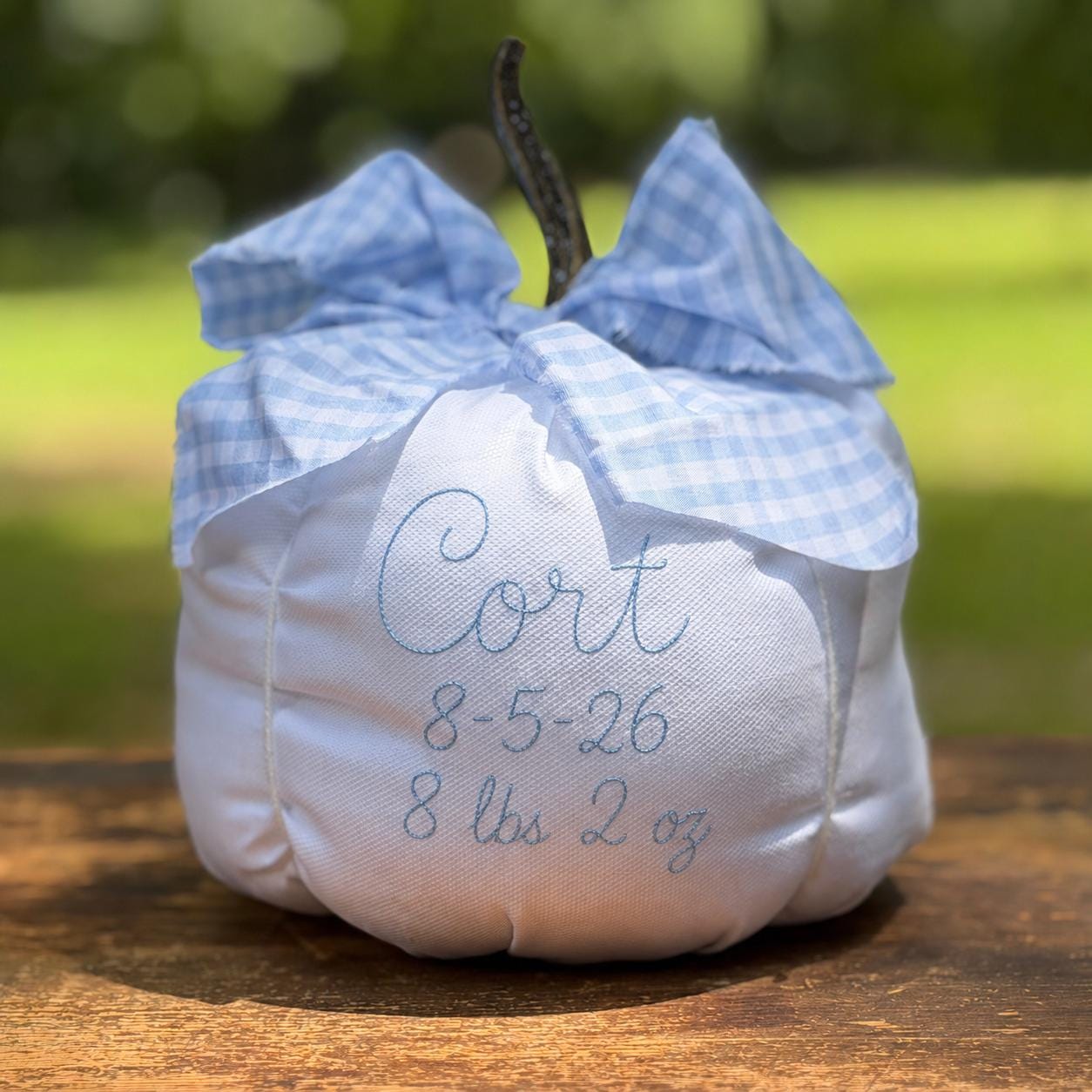 Personalized Baby's First Pumpkin, Blue Gingham Bow Birth Details Keepsake